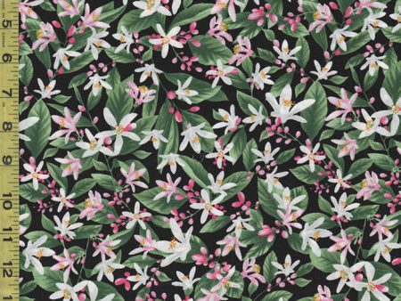 Floral Fabric - Timeless Treasures - Tropical Fruit Flower - C7483 - Black - ON SALE - SAVE 30% - By the Yard Supply