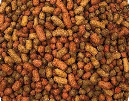 Microbe-Lift Legacy Variety Mix Fish Food Hot on Sale