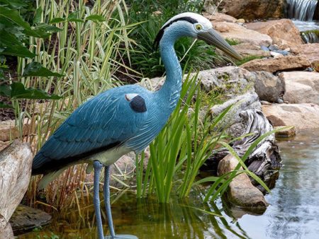 Aquascape Blue Heron Decoy Discount