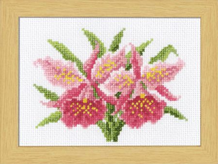 *Olympus Cross Stitch Flower Kit - # 7506 - January - Cattleya - ON SALE - SAVE 50% Online Hot Sale