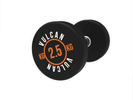 VULCAN Commercial Round Dumbbells | IN STOCK Cheap